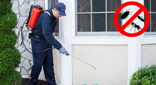 Keşan Fare İlaçlama böcek ilaçlama ve haşere kontrolü — ilaclama-tr.com